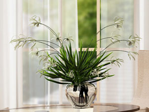 【簽約】張家口智仁商貿(mào)有限公司，網(wǎng)站系統(tǒng)開發(fā)項(xiàng)目