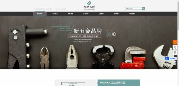 企業網站建設，具有LaTeX排版和數學可視化功能的網站建設