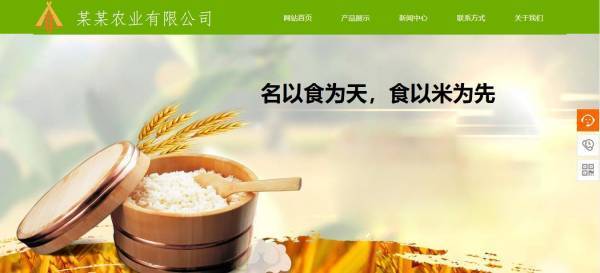 企業網站建設，農業信息網站建設的現狀分析